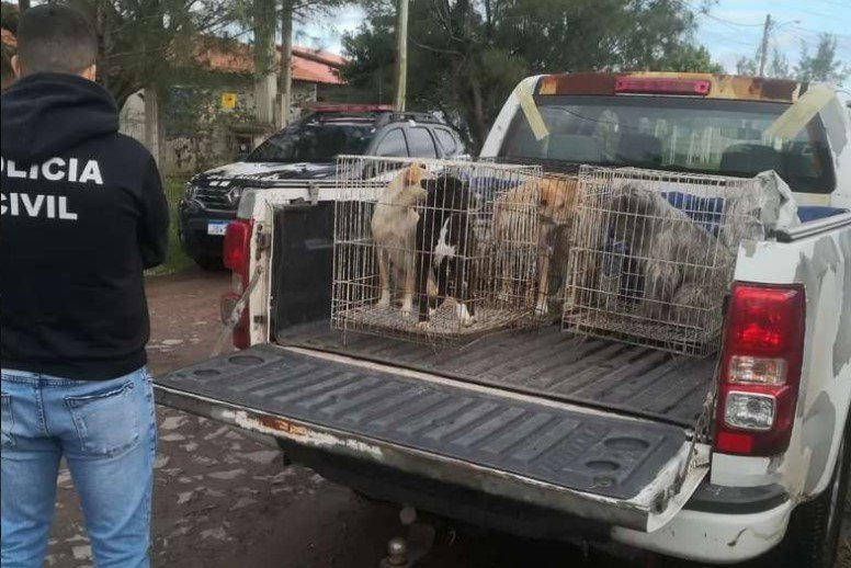 animais foram encontrados abandonados